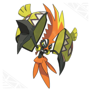 tapukoko